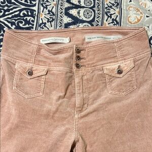 Pilcro and the Letterpress Blush Corduroy Pants